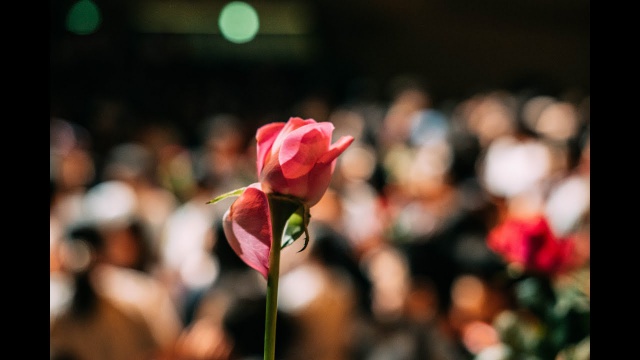 Embedded thumbnail for Hualien-Taitung Youth Choir Camp 2019 (Farewell Party)